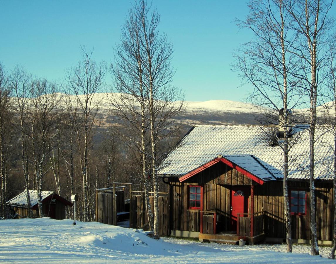 Fjaellfrid Stugby Holiday home